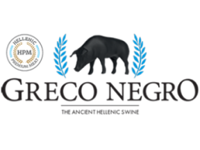 GRECO2025_0x260