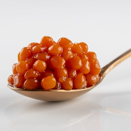cataliment-tomate-e1748419368476